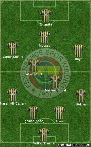 Fenerbahçe SK Formation 2013