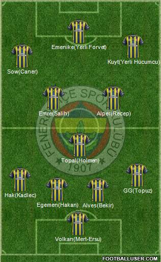 Fenerbahçe SK Formation 2013