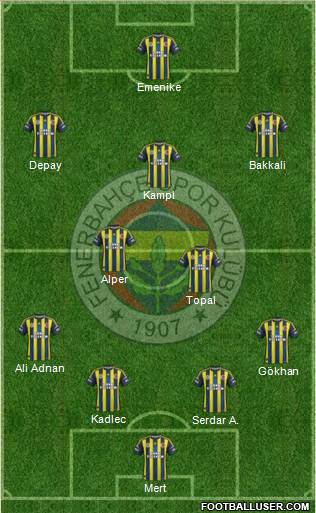Fenerbahçe SK Formation 2013