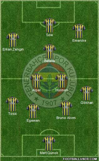 Fenerbahçe SK Formation 2013