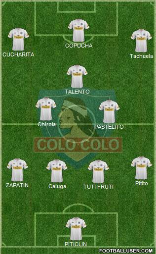 CSD Colo Colo Formation 2013