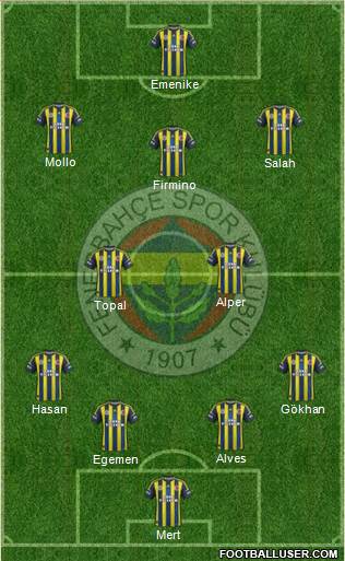 Fenerbahçe SK Formation 2013