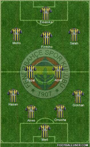 Fenerbahçe SK Formation 2013