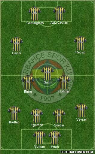 Fenerbahçe SK Formation 2013