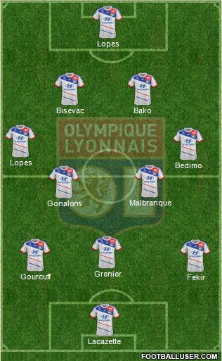 Olympique Lyonnais Formation 2013