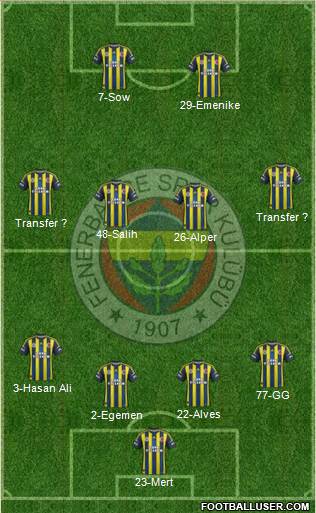 Fenerbahçe SK Formation 2013