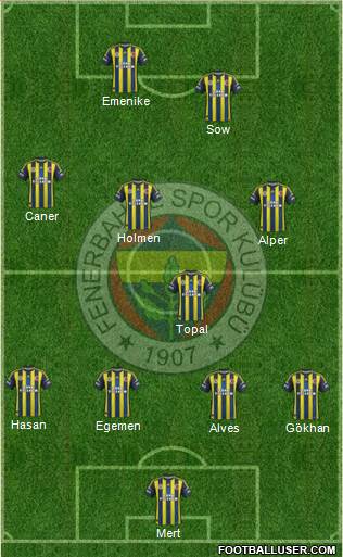 Fenerbahçe SK Formation 2013