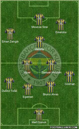 Fenerbahçe SK Formation 2013