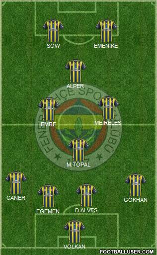 Fenerbahçe SK Formation 2013