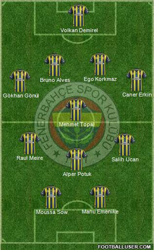 Fenerbahçe SK Formation 2013