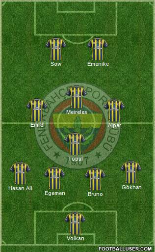 Fenerbahçe SK Formation 2013
