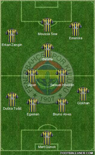 Fenerbahçe SK Formation 2013