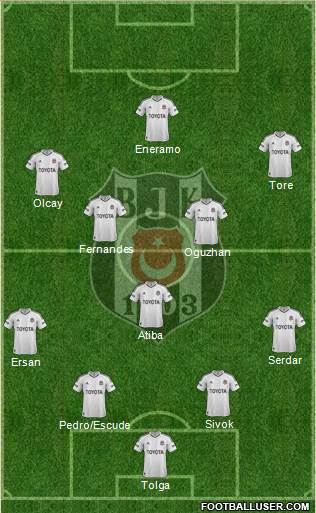 Besiktas JK Formation 2013