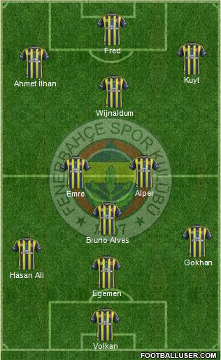 Fenerbahçe SK Formation 2013