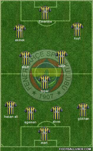 Fenerbahçe SK Formation 2013