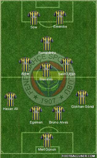 Fenerbahçe SK Formation 2013