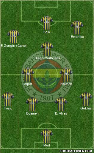 Fenerbahçe SK Formation 2013