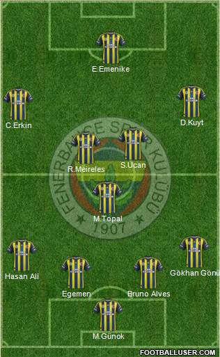 Fenerbahçe SK Formation 2013