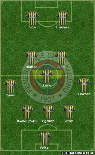 Fenerbahçe SK Formation 2013