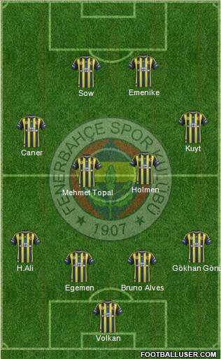 Fenerbahçe SK Formation 2013