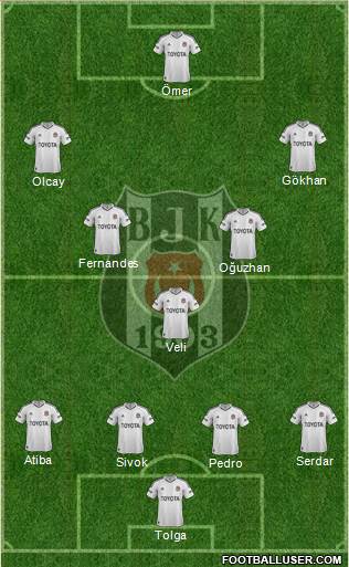 Besiktas JK Formation 2013