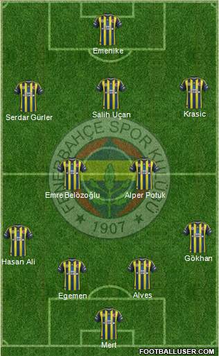 Fenerbahçe SK Formation 2013