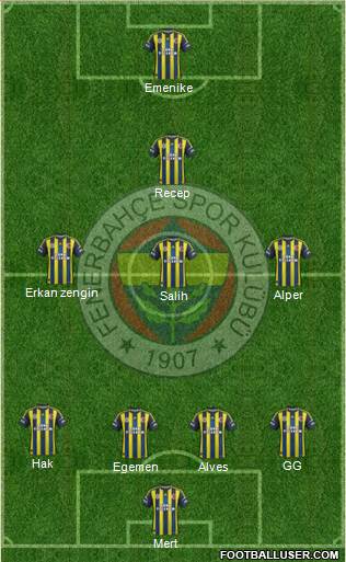 Fenerbahçe SK Formation 2013