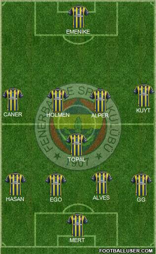 Fenerbahçe SK Formation 2013