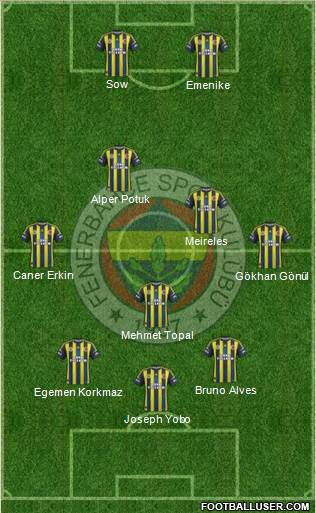 Fenerbahçe SK Formation 2013