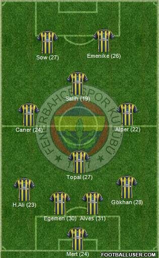 Fenerbahçe SK Formation 2013