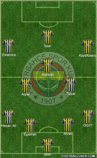 Fenerbahçe SK Formation 2013