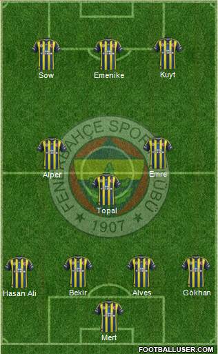 Fenerbahçe SK Formation 2013