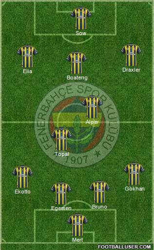 Fenerbahçe SK Formation 2013