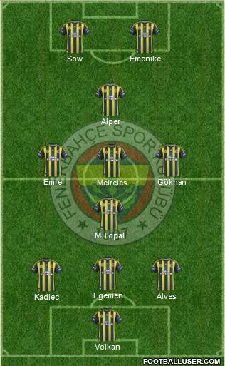 Fenerbahçe SK Formation 2013