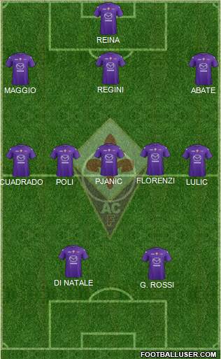 Fiorentina Formation 2013