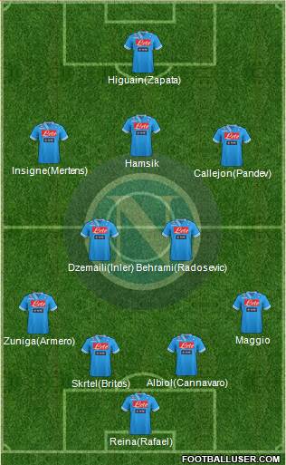 Napoli Formation 2013