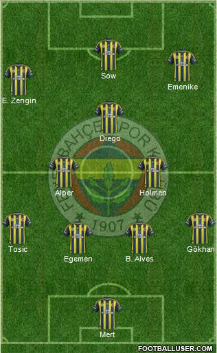 Fenerbahçe SK Formation 2013