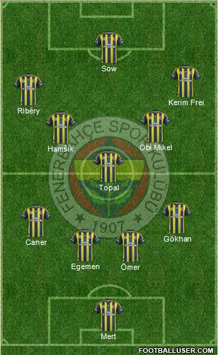 Fenerbahçe SK Formation 2013