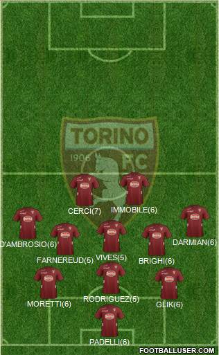 Torino Formation 2013