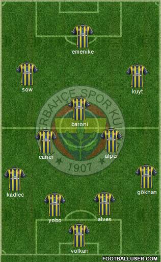 Fenerbahçe SK Formation 2013