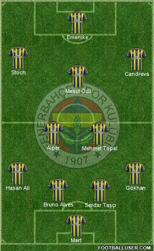 Fenerbahçe SK Formation 2013