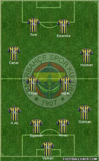 Fenerbahçe SK Formation 2013