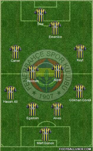 Fenerbahçe SK Formation 2013