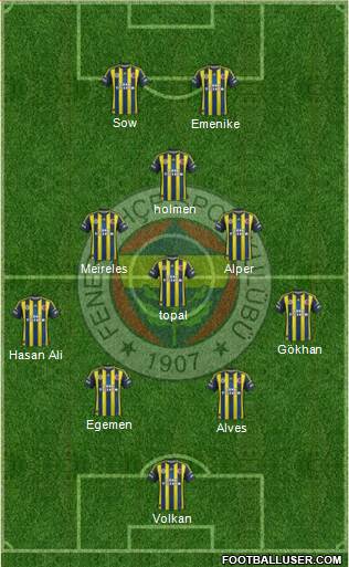 Fenerbahçe SK Formation 2013