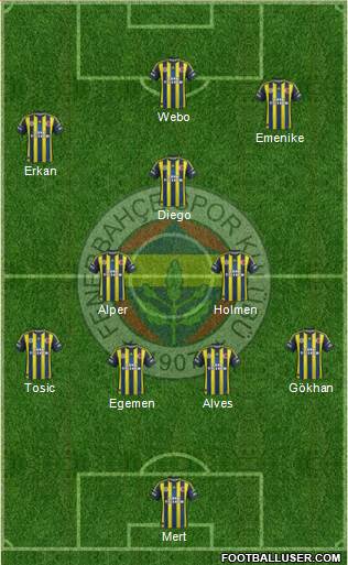 Fenerbahçe SK Formation 2013