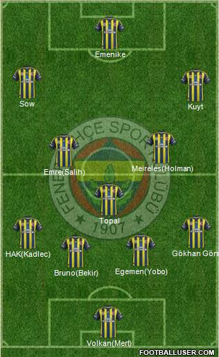 Fenerbahçe SK Formation 2013
