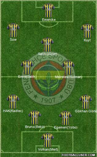 Fenerbahçe SK Formation 2013