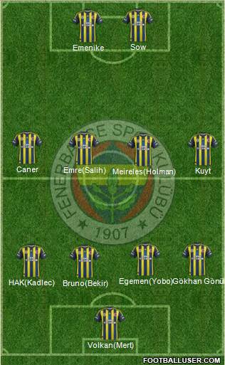 Fenerbahçe SK Formation 2013
