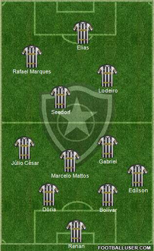Botafogo FR Formation 2013