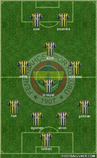Fenerbahçe SK Formation 2013